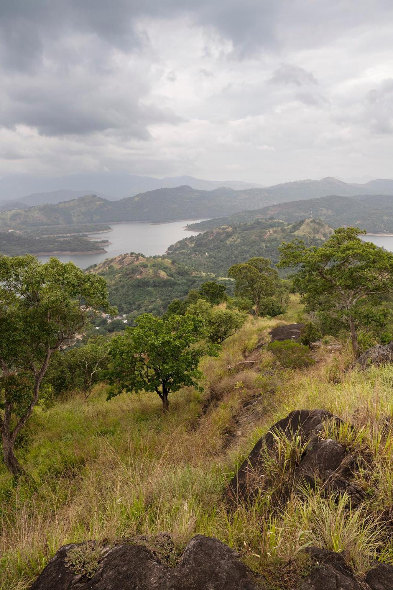 Kandy Victoria Eco Resort Экстерьер фото