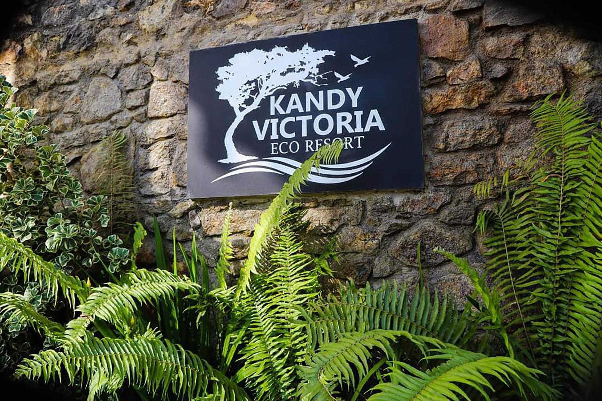 Kandy Victoria Eco Resort Экстерьер фото