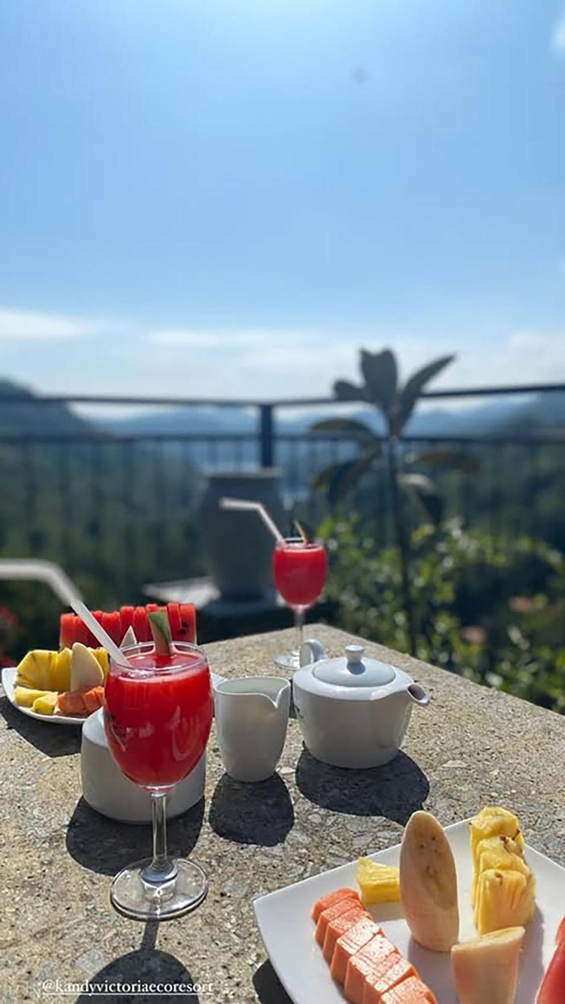 Kandy Victoria Eco Resort Экстерьер фото