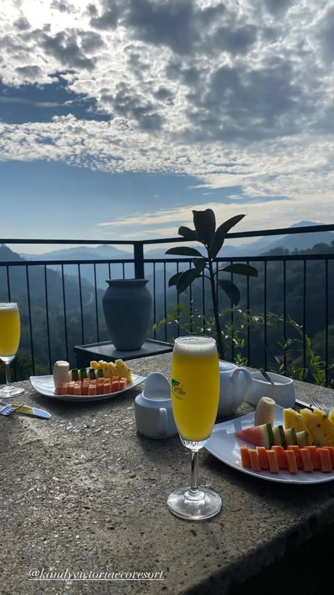 Kandy Victoria Eco Resort Экстерьер фото